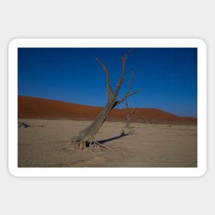 Fossilised tree in the Namibian Desert Sticker